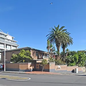 Albatross Cape Town